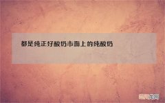 都是纯正好酸奶 市面上的纯酸奶
