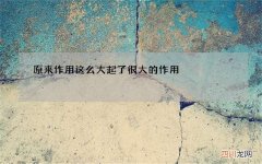 原来作用这么大 起了很大的作用