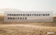 去西双版纳和老挝万象多少钱 老挝万象到西双版纳大巴多少钱