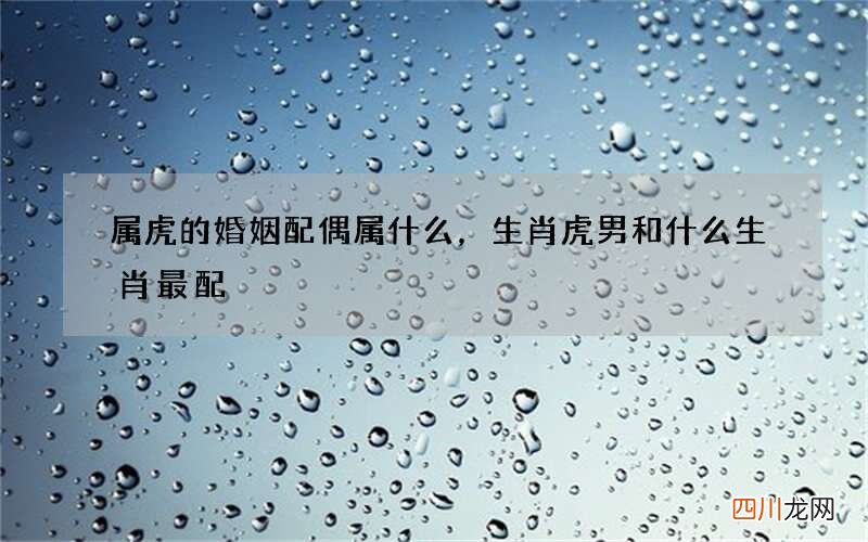 属虎的婚姻配偶属什么，生肖虎男和什么生肖最配