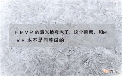 FMVP的意义被夸大了，这个荣誉，和MVP本不是同等级的