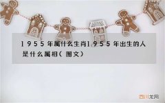 图文 1955年属什么生肖 1955年出生的人是什么属相
