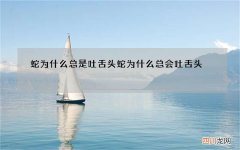 蛇为什么总是吐舌头 蛇为什么总会吐舌头