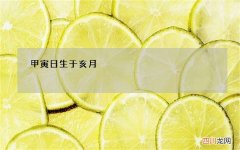甲寅日生于亥月，甲寅日生于亥月视频