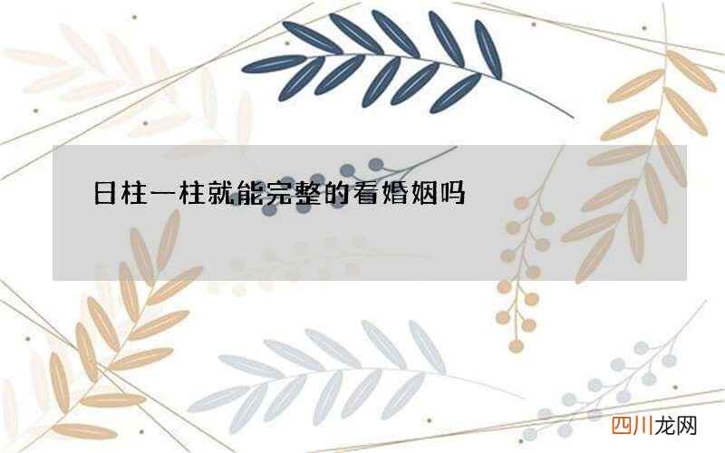 日柱一柱就能完整的看婚姻吗