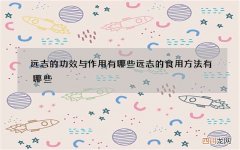 远志的功效与作用有哪些 远志的食用方法有哪些