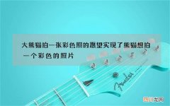 大熊猫拍一张彩色照的愿望实现了 熊猫想拍一个彩色的照片