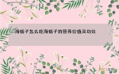 海蛎子怎么吃 海蛎子的营养价值及功效