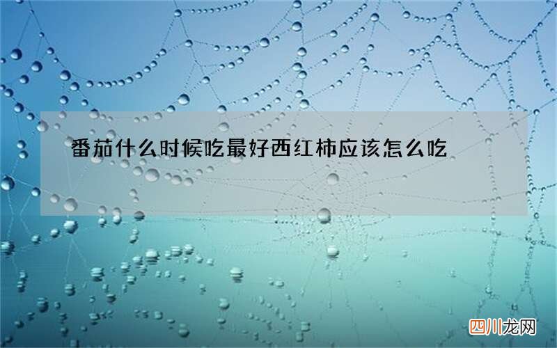 番茄什么时候吃最好 西红柿应该怎么吃