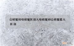 公螃蟹和母螃蟹区别大 母螃蟹和公螃蟹最大区别