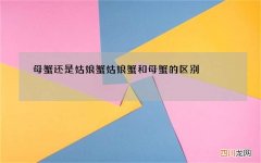 母蟹还是姑娘蟹 姑娘蟹和母蟹的区别