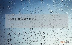 乙未日柱运势2022，乙未日柱壬寅年运势