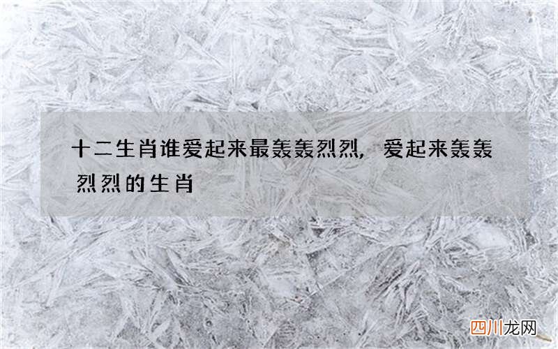 十二生肖谁爱起来最轰轰烈烈,爱起来轰轰烈烈的生肖