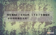 狗年属兔87年的运势，1987年属兔的命运和婚姻怎么样？