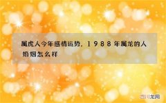 属虎人今年感情运势，1988年属龙的人婚姻怎么样