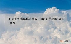 1到99朵玫瑰的含义 1到99朵玫瑰花的含义
