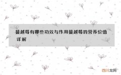 蔓越莓有哪些功效与作用 蔓越莓的营养价值详解
