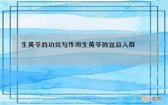 生黄芩的功效与作用 生黄芩的宜忌人群