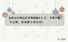 亲家合伙种出好苹果晚摘45天，不戴手套不让摘，奶油富士吃过吗？