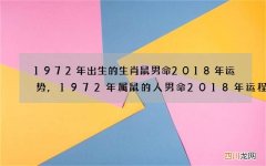 1972年出生的生肖鼠男命2018年运势,1972年属鼠的人男命2018年运程