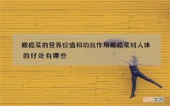 橄榄菜的营养价值和功效作用 橄榄菜对人体的好处有哪些