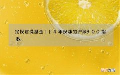 定投君说基金丨14年没涨的沪深300指数
