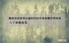 橄榄菜的营养价值和功效作用有哪些 带你深入了解橄榄菜