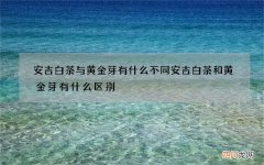 安吉白茶与黄金芽有什么不同 安吉白茶和黄金芽有什么区别