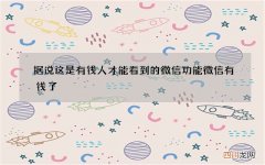 据说这是有钱人才能看到的微信功能 微信有钱了