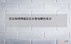芸豆如何种植芸豆主要有哪些成分