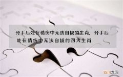 分手后处在情伤中无法自拔的生肖,分手后处在情伤中无法自拔的四大生肖