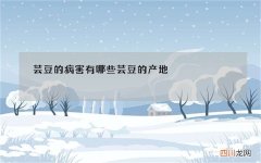 芸豆的病害有哪些 芸豆的产地