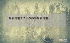 绝版宠物火了 卡布西游绝版宠物