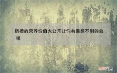 脐橙的营养价值大公开 让你有意想不到的效果