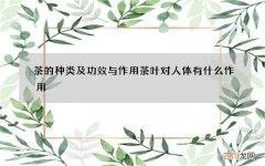 茶的种类及功效与作用 茶叶对人体有什么作用