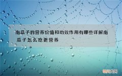 南瓜子的营养价值和功效作用有哪些 详解南瓜子怎么吃更营养