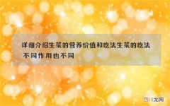 详细介绍生菜的营养价值和吃法 生菜的吃法不同作用也不同