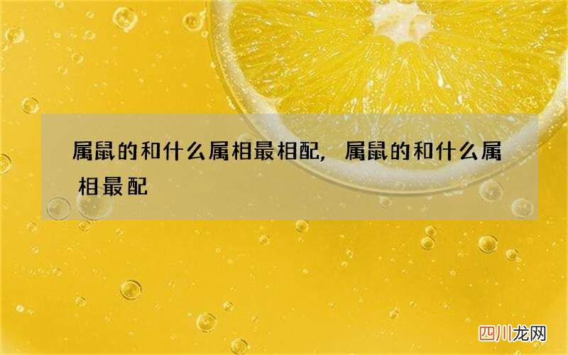 属鼠的和什么属相最相配,属鼠的和什么属相最配