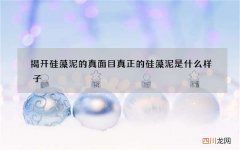 揭开硅藻泥的真面目 真正的硅藻泥是什么样子