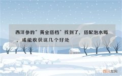 西洋参的“黄金搭档”找到了，搭配泡水喝，或能收获这几个好处