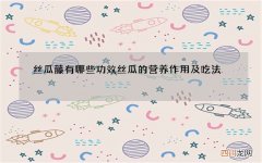 丝瓜藤有哪些功效 丝瓜的营养作用及吃法