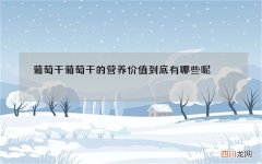 葡萄干 葡萄干的营养价值到底有哪些呢