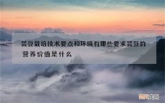 芸豆栽培技术要点和环境有哪些要求 芸豆的营养价值是什么