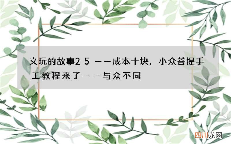 文玩的故事25——成本十块，小众菩提手工教程来了——与众不同