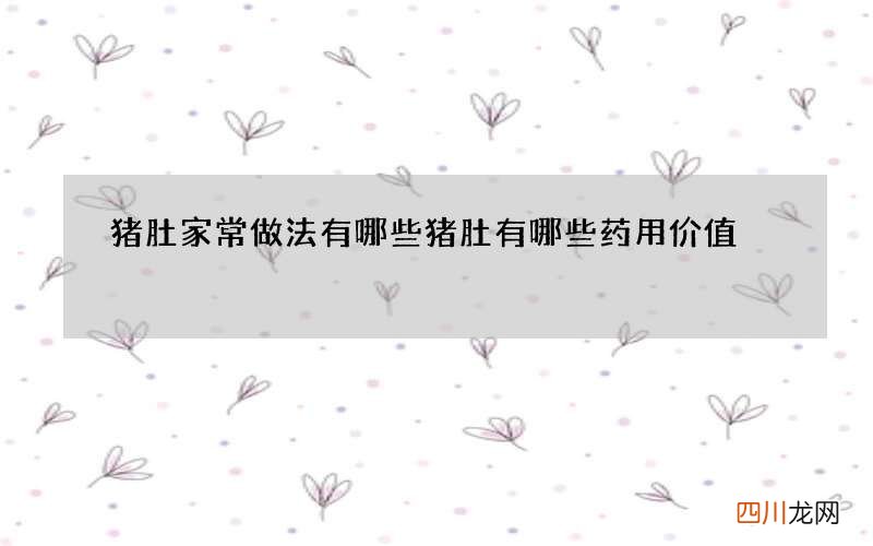 猪肚家常做法有哪些 猪肚有哪些药用价值