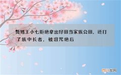 赘婿王小七拒绝拿出好田当家族公田，还打了族中长者，被诅咒绝后