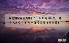 我爱测字网生肖牛2018年每月运势,属牛人2018狗年每月运程【男命篇】