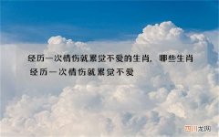 经历一次情伤就累觉不爱的生肖,哪些生肖经历一次情伤就累觉不爱