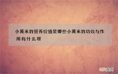 小黄米的营养价值是哪些小黄米的功效与作用有什么呀