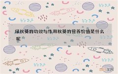 绿秋葵的功效与作用 秋葵的营养价值是什么呢